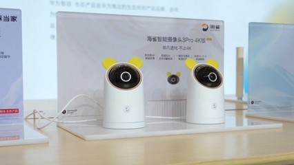 鸿蒙智联赋能，海雀科技旗舰新品亮相峰会，引领智能看护服务新篇章